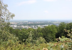 Rehbrunnenkopf