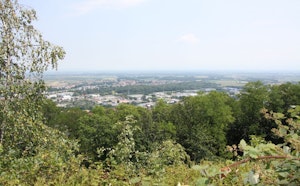 Rehbrunnenkopf