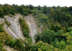 Réserve Biologique d'Orquevaux