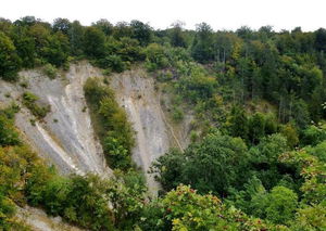 Réserve biologique d'Orquevaux