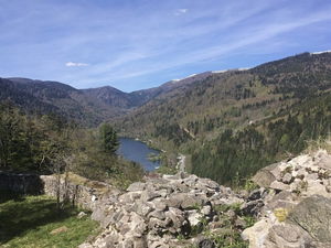 Ruines du château de Wildenstein