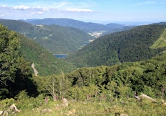 Sentier Découverte du Ballon d'Alsace