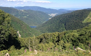 Sentier Découverte du Ballon d'Alsace