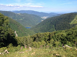 Sentier découverte du ballon d'Alsace