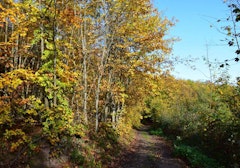 Sentier des Demoiselles de Pierre