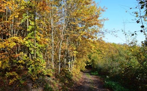 Sentier des Demoiselles de Pierre
