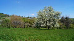 Sentier des Sols d'Osenbach