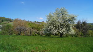Sentier des Sols d'Osenbach