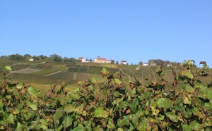 Sentier des vignerons de Mutigny