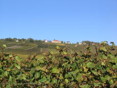 Sentier des Vignerons de Mutigny