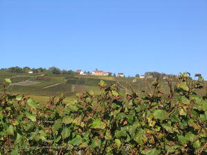 Sentier des vignerons de Mutigny
