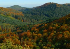 Sentier du Loosthal