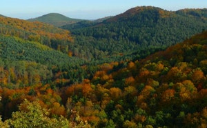 Sentier du Loosthal