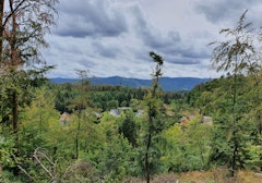 Sentier du Weinbaechel