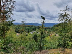 Sentier du Weinbaechel