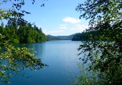 Shores of Lac de Pierre-Percée