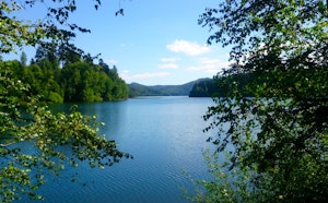 Shores of Lac de Pierre-Percée