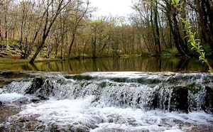 Source de l'Aube