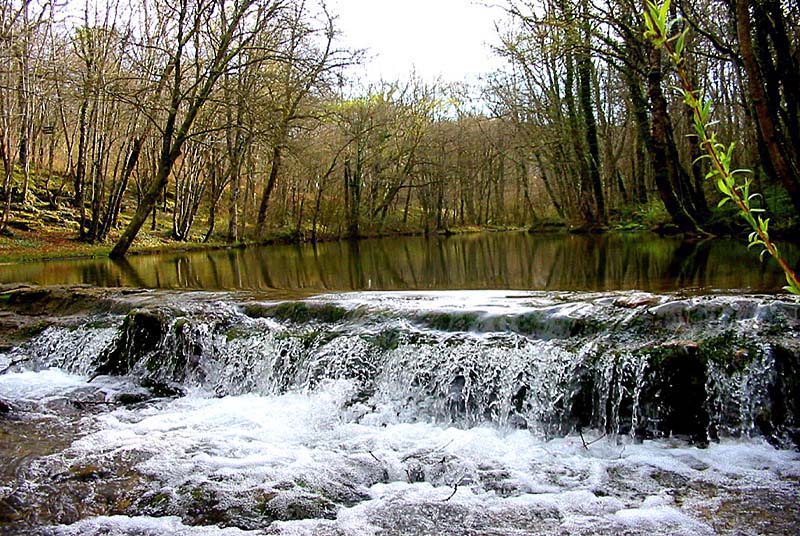 Source de l'Aube