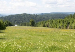 Tête de Grouvelin from le Grand Haut