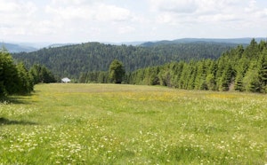 Tête de Grouvelin depuis le Grand Haut