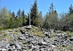 Tête des Faux