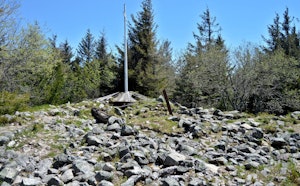 Tête des Faux