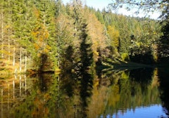 Tourbière de Belbriette