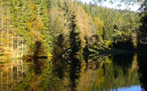 Tourbière de Belbriette