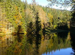 Tourbière de Belbriette