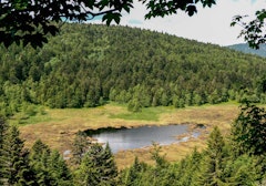Tourbière de Machais