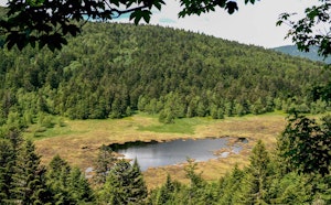 Tourbière de Machais