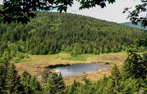 Tourbière de Machais