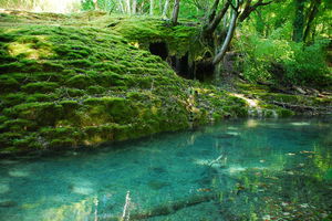 Tufière de Rolampont