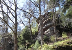Vallon d'Olima