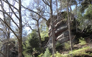 Vallon d'Olima