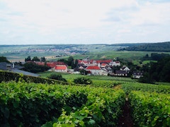 Vallon du Brunet