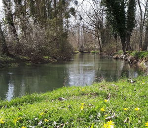 Villacerf via le chemin de Halage