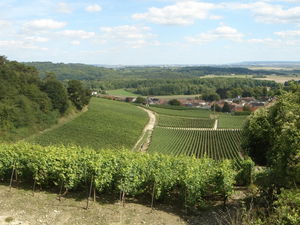 Vignes de Trigny