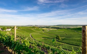 Vignobles d’Hautvillers