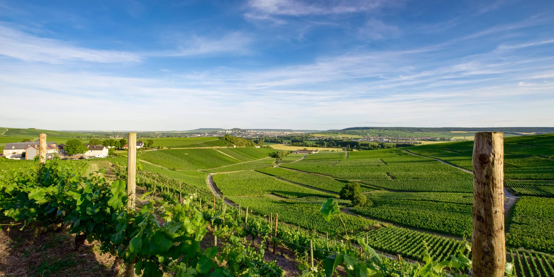 Vignobles d’Hautvillers