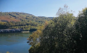 Whitaker Basin