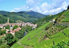 Rangen Wine Trail