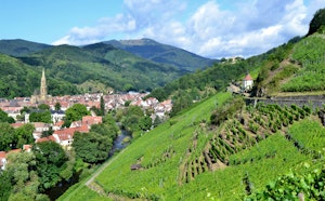 Sentier viticole du Rangen