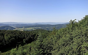 Wolschwiller