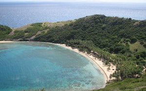 Morne Morel