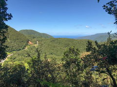 Mamelle de Petit-Bourg