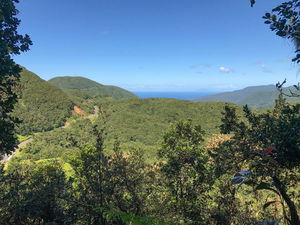 Mamelle de Petit-Bourg