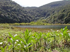 Grand Étang