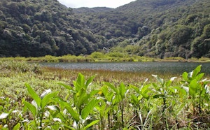 Grand Étang